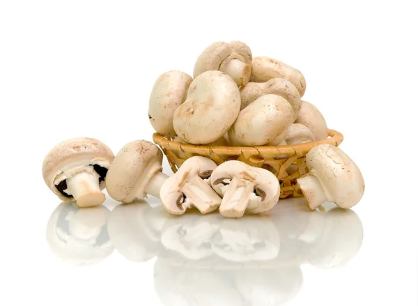 Cogumelos (Agaricus) em cesta sobre fundo branco — Fotografia de Stock