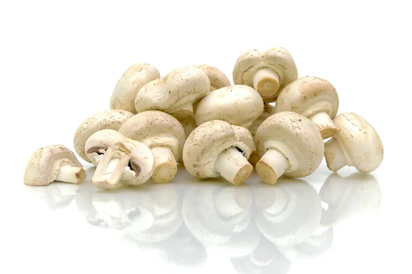 Cogumelos perto no fundo branco — Fotografia de Stock