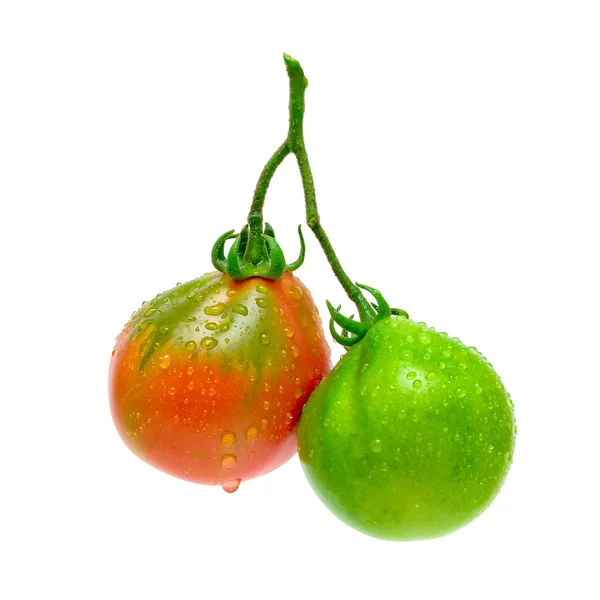 Pomodori verdi e rossi isolati su fondo bianco — Foto Stock
