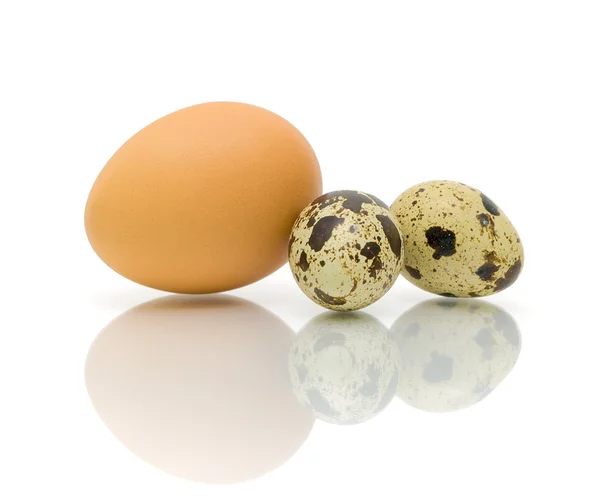 Ovos de galinha e codorniz sobre um fundo branco — Fotografia de Stock