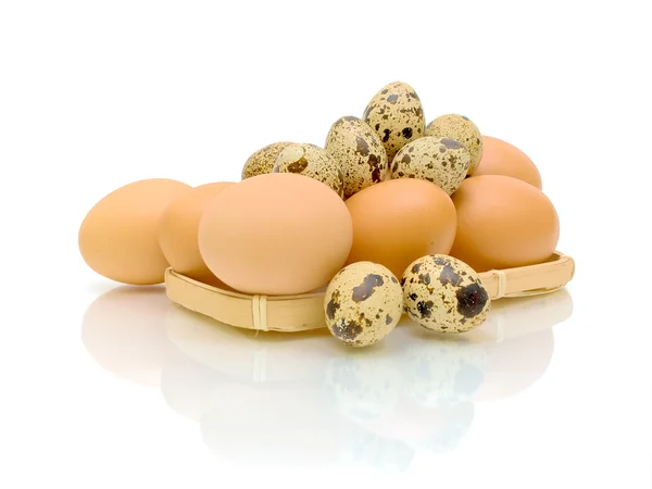 Codorna e ovos de galinha no fundo branco — Fotografia de Stock