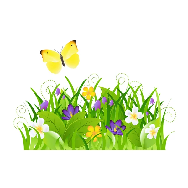 Fleurs avec herbe et papillon — Image vectorielle
