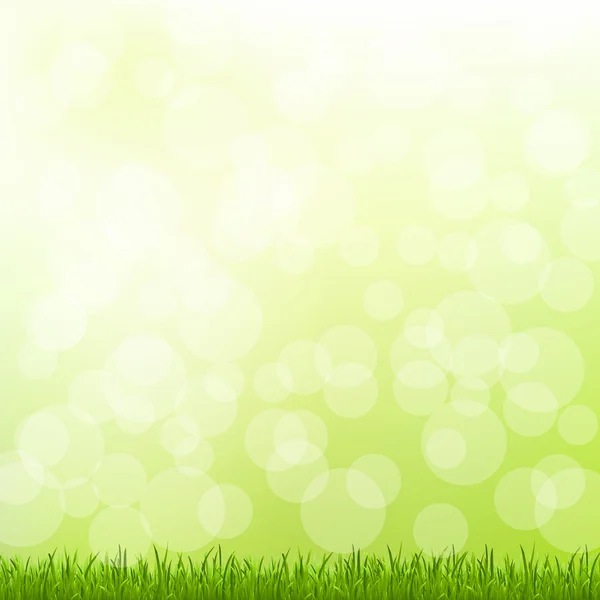 Зелена трава і Боке — стоковий вектор
