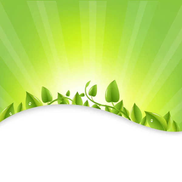 Gröna blad med sunburst — Stock vektor