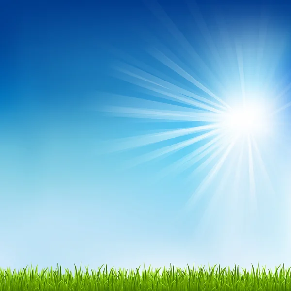 绿色的草和太阳光束 — 图库矢量图片