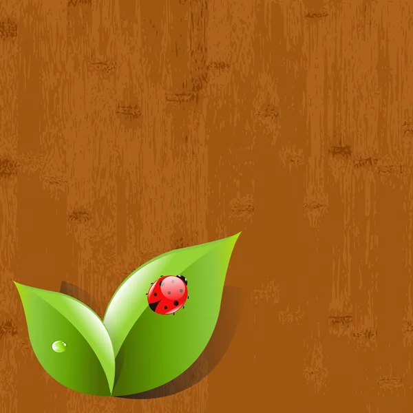 木製の背景に葉、てんとう虫 — ストックベクタ
