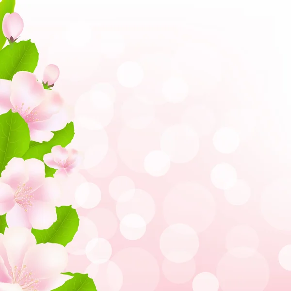 Apfelbaumblüten mit Bokeh — Stockvektor