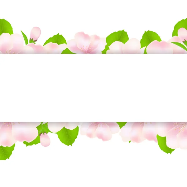 Apple boom bloemen met papier — Stockvector