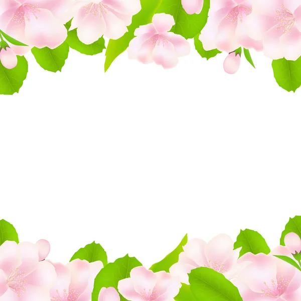Fleurs de pommier avec cadre — Image vectorielle
