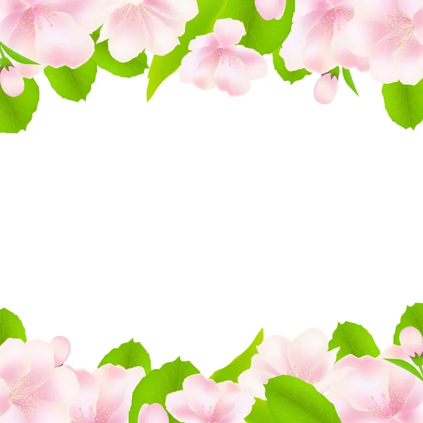 Apple boom bloemen met frame — Stockvector