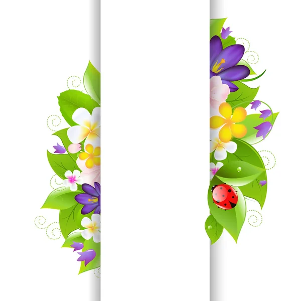 Flowers And Ladybug With Paper — Stock Vector