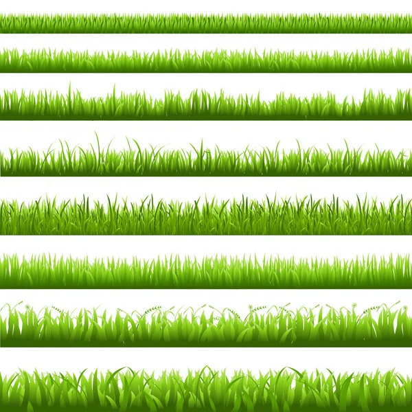 Frontière verte herbe — Image vectorielle