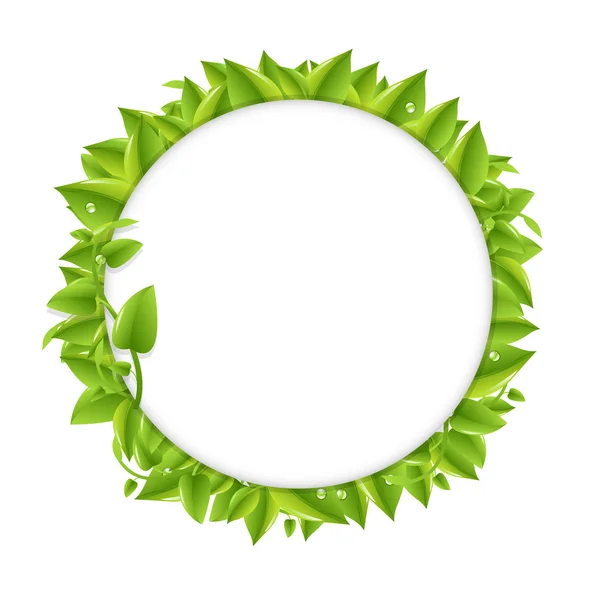 Circle With Green Leafs — Stock Vector