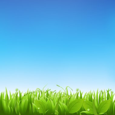 Grass And Sky clipart