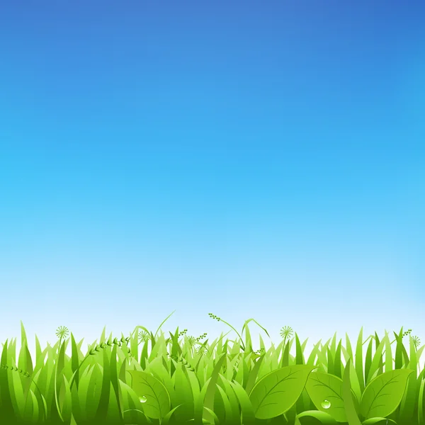 Gräs och himmel — Stock vektor