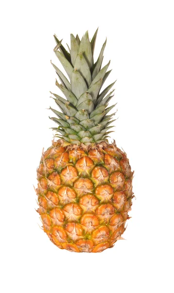 Pineapple a fruit — Stock Photo, Image