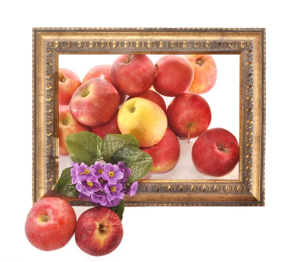 Bir çerçeve içinde elmalar — Stok fotoğraf