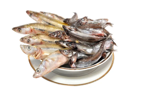 The frozen fish on a plate — Stock Photo, Image