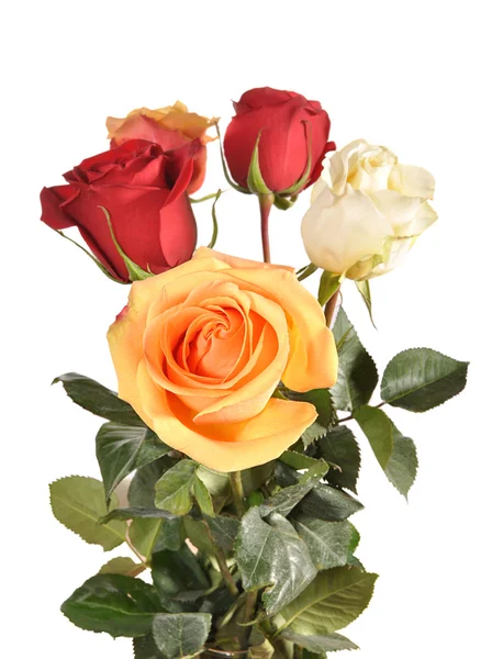 Kytice s růží — Stock fotografie