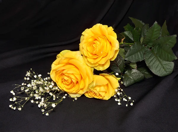 Yellow roses lay on a black — Stock Photo, Image