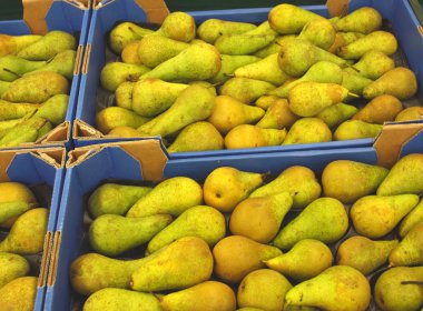 Pear display, étalage de poires