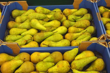 Pear display, étalage de poires