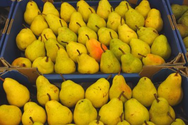 Pear display, étalage de poires