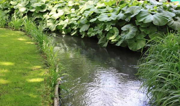 Řeka v zahradě — Stock fotografie