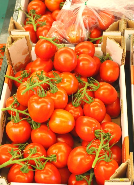 Display tomato — Stock Photo, Image