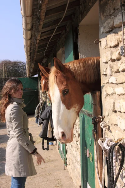 Bonita mujer joven dando comida a los caballos —  Fotos de Stock