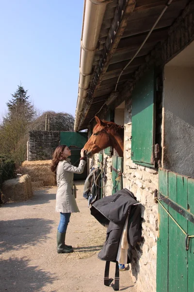 Bonita mujer joven dando comida a los caballos — Foto de Stock