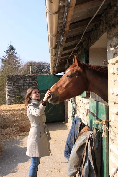 Jolie jeune femme donnant de la nourriture aux chevaux — Photo