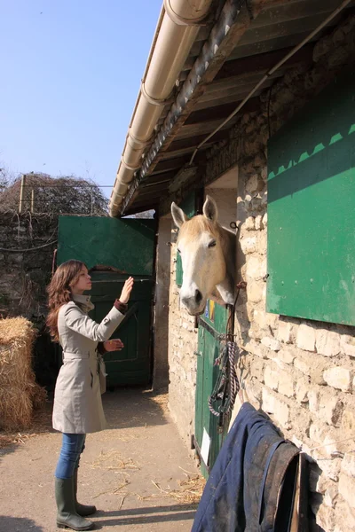 stock image Pretty young woman giving food to horses