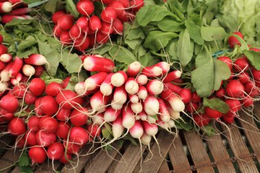 Kırmızı ve beyaz turp Market demetleri