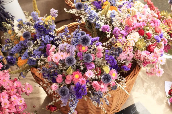 Strauß getrockneter Blumen in allen Farben — Stockfoto