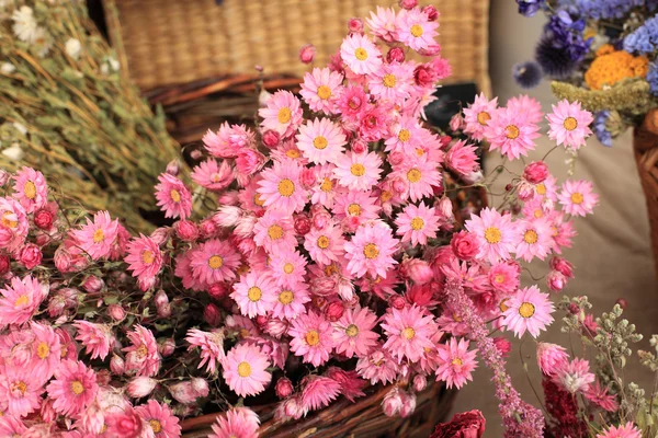Strauß getrockneter Blumen in allen Farben — Stockfoto
