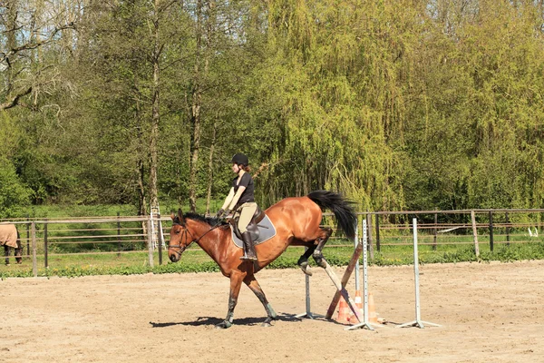 Giovane donna con un cavallo marrone saltare un ostacolo — Foto Stock