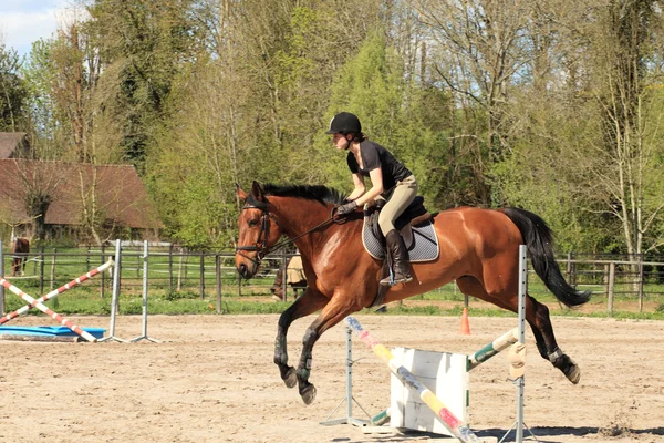 Jovem com um cavalo marrom saltar um obstáculo — Fotografia de Stock