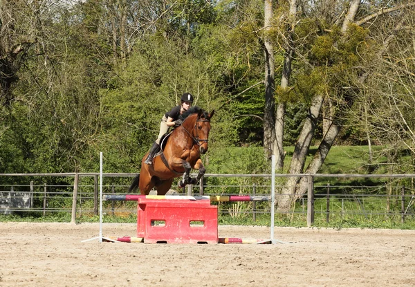 Mujer joven con un caballo marrón saltar un obstáculo — Foto de Stock