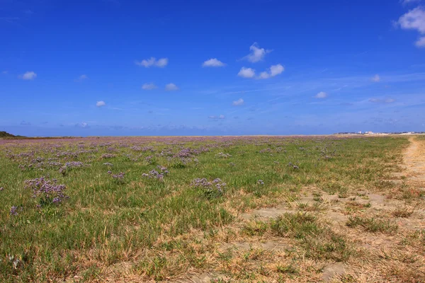 Zeegezicht en strand bij laag tij op de kust van opaal in Frankrijk — Stockfoto