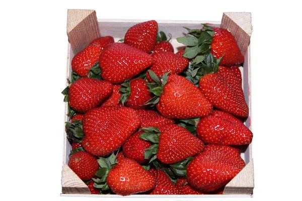 Låda jordgubbar isolerad på vit bakgrund — Stockfoto