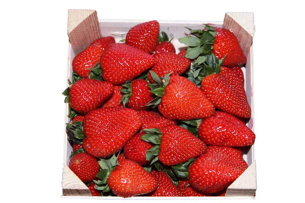 Låda jordgubbar isolerad på vit bakgrund — Stockfoto