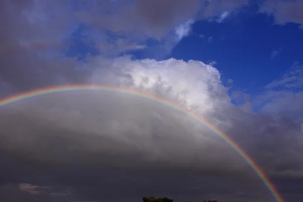 Regenboog — Stockfoto