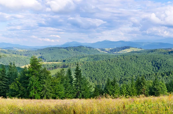 Prachtig groen berglandschap — Stockfoto