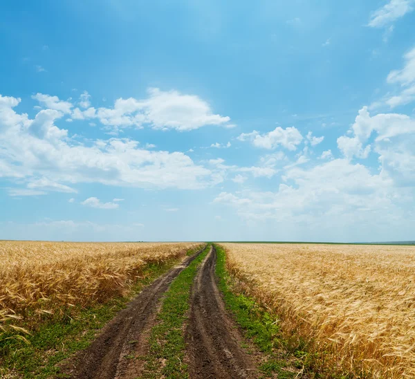 Wiejskiej drodze w Złotym polu rolnych zgodnie z pochmurnego nieba — Zdjęcie stockowe