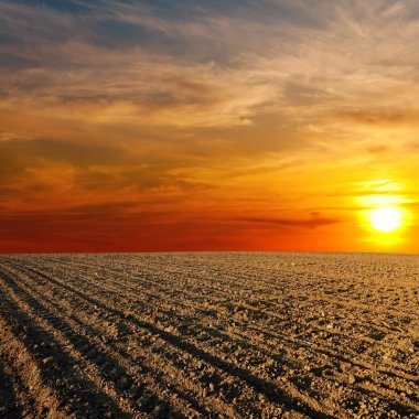 Red sunset over ploughed farm field clipart