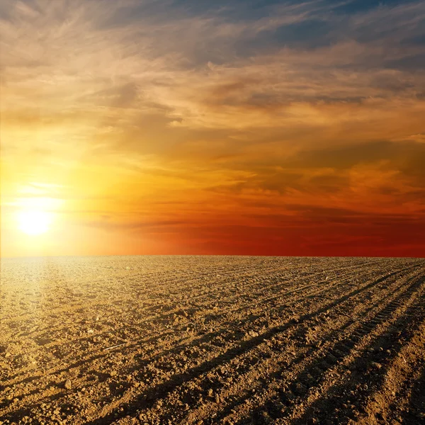 Rode zonsondergang over omgeploegde boerderij veld — Stockfoto