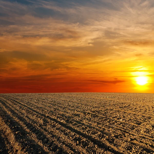 Pôr do sol vermelho sobre campo agrícola lavrado — Fotografia de Stock