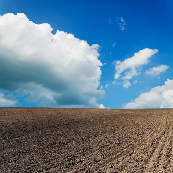 Czarny zaorane pole pod błękitne niebo z chmurami — Zdjęcie stockowe