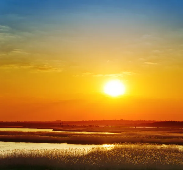 Pôr-do-sol vermelho sobre o rio com canas — Fotografia de Stock